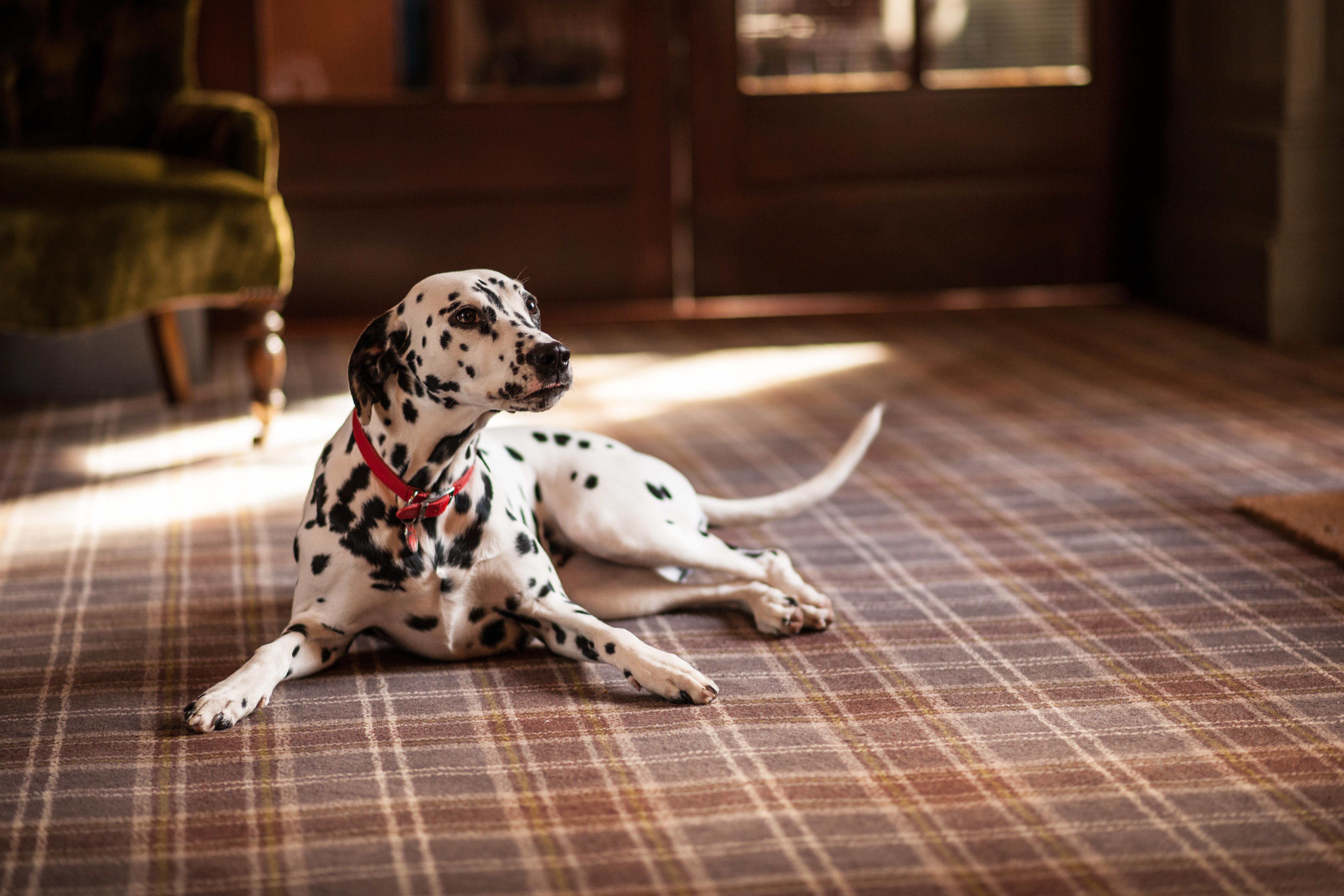 ホテル Balmoral Arms バラター エクステリア 写真